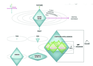 Levin's TAME theory describes the spectrum of intelligences using the model of “cognitive light cones” A cognitive cone corresponds to the biggest goal in space and time that the creature is able to pursue. These spaces are “in anatomical, physiological, transcriptional, and 3D (traditional behavioral) spaces.”